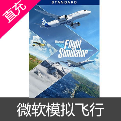 Microsoft Flight Simulator